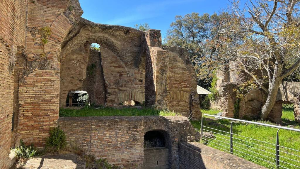 Il City Nature Challenge 2024 nella Tenuta presidenziale di Castel Porziano